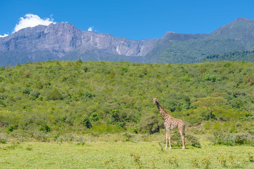 Nature Homes - Africa Amini Life Nkoanrua Zewnętrze zdjęcie
