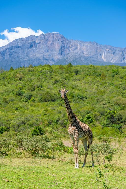 Nature Homes - Africa Amini Life Nkoanrua Zewnętrze zdjęcie