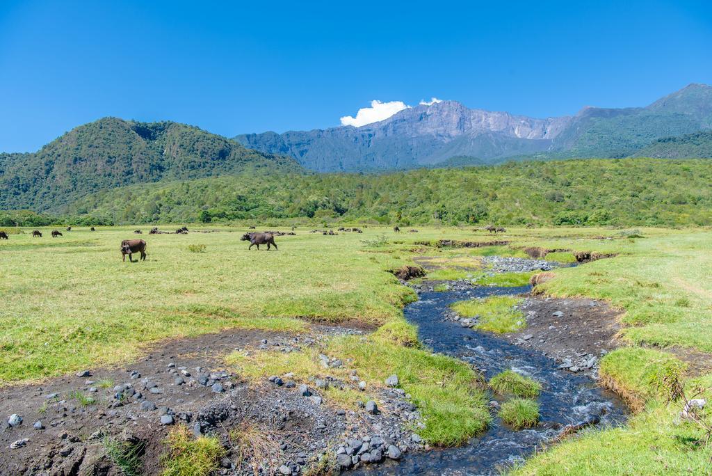 Nature Homes - Africa Amini Life Nkoanrua Zewnętrze zdjęcie