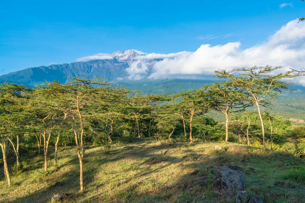 Nature Homes - Africa Amini Life Nkoanrua Zewnętrze zdjęcie